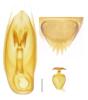 Nossidium pilosellum